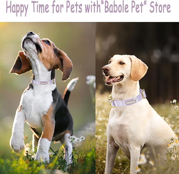 Nylon Dog Collar - Adjustable Lavender Soft Webbing Dog Collars for Small Medium Large Dogs Boy Girl Puppy Collar with Safety Metal Buckle XS
