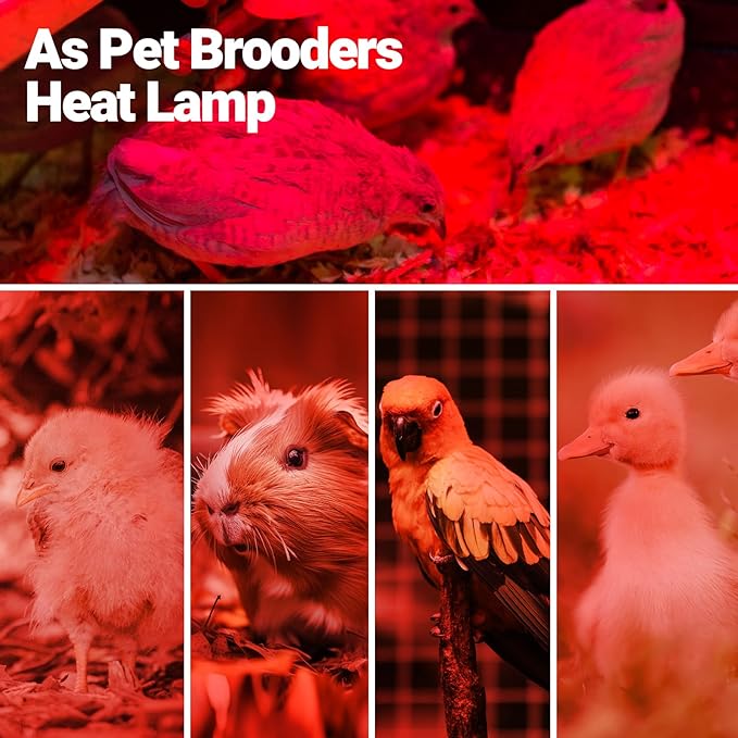 REPTI ZOO 150W Infrared Heat Lamp Bulb for Reptile, 2 Pack Infrared Basking Spot Light for Reptiles & Amphibian,Bearded Dragon, Leopard GeckoTurtle,Lizard, Chickens | Pet Brooders Heat Lamp
