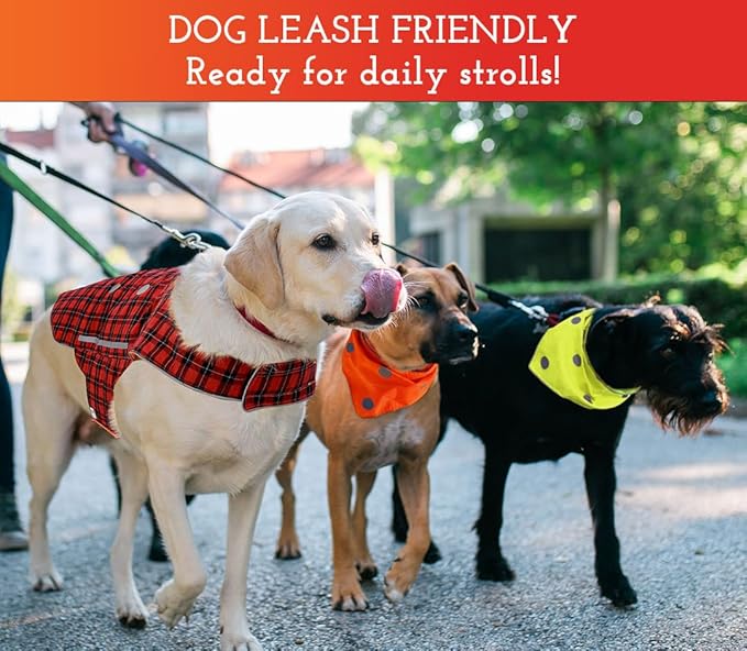 SPOT THE DOG! Reflective Dog Collar - Adjustable Pet Collars, Safe, Durable, Comfortable Dog Walking Accessories for Small Dog, Hunting Dog, Puppy, Boy, Girl Dog Collars (Blaze Orange, Red Plaid, S)