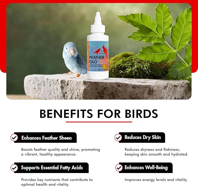 Morning Bird Feather Glo 8 Oz – Palm Oil Supplement for Birds – Supports Pet Skin Treatment Spray, Feather Shine & Immune Health – Vitamin, Mineral & Energy Support for All Bird Types