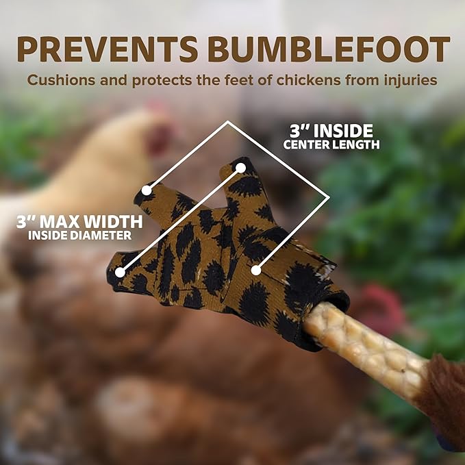 Chicken Shoes for Injured Feet – Protective Neoprene Footwear for Chicken, Open-Toe Design for Bumblefoot Relief, Made in USA - Standard, 3" Max. Inside Width, Leopard
