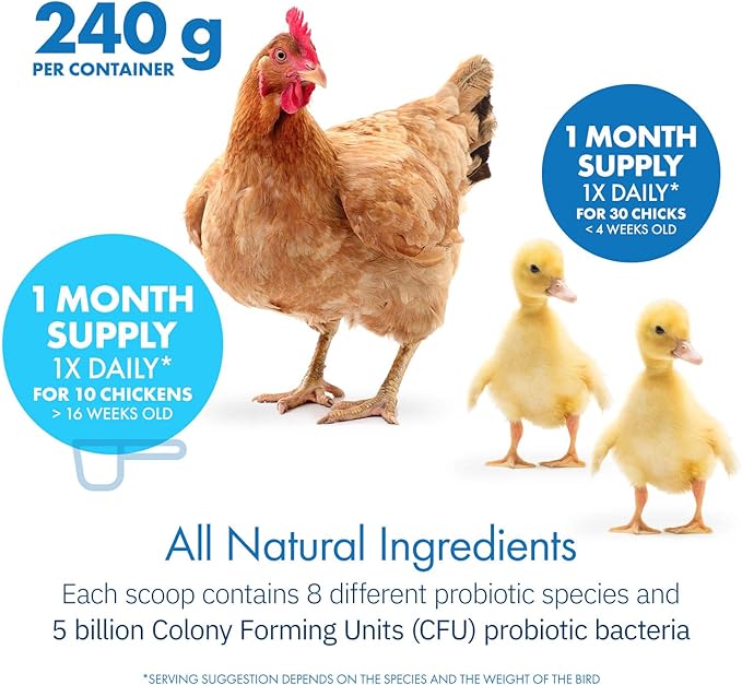 HealthyGut Probiotics for Chickens & Poultry, All-Natural Digestive System Dietary Supplement (30 Scoops)