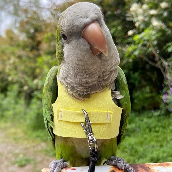 Bird Flight Harness Vest, Parrot Flight Suit with Leash for Parakeets Cockatiels Conures Budgies, Bird Flying Clothes with Rope and Handle for Outdoor Activities Training (M, Yellow)