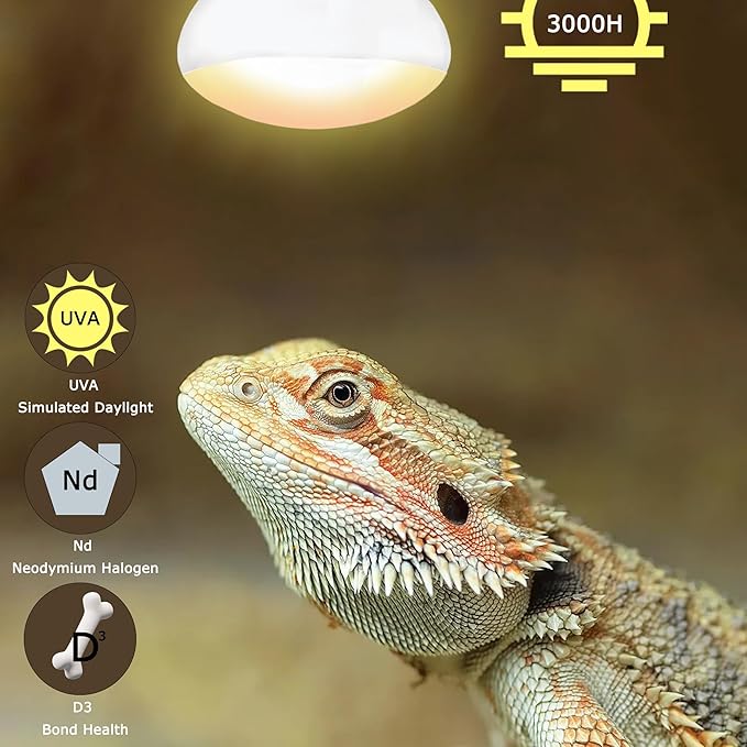 60W E26 Reptile Heat Lamp Bulbs, R63 Upgraded UVA Basking Spot Light for Bearded Dragon, Lizard, Tortoise & Amphibians - Simulated Natural Sunlight, Daylight Bulb fot Terrarium | 2 Pack