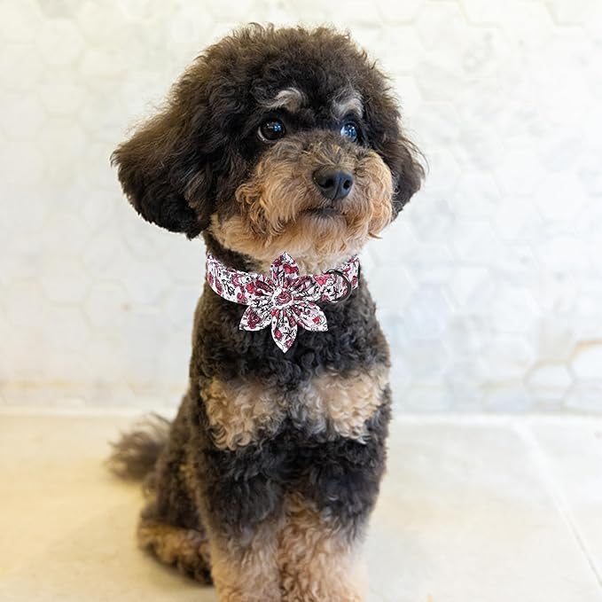 MR. CHUBBYFACE Valentine's Dog Collar with Flower-Cute Pink Rose Cotton Dog Collar, Adjustable Valentine's Boy Girl Dog Collars with Metal Buckle for Small Medium Large Dogs
