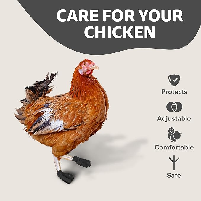 Chicken Shoes for Injured Feet – Protective Neoprene Footwear for Chicken, Open-Toe Design for Bumblefoot Relief, Made in USA - Standard, 3" Max. Inside Width, Gray