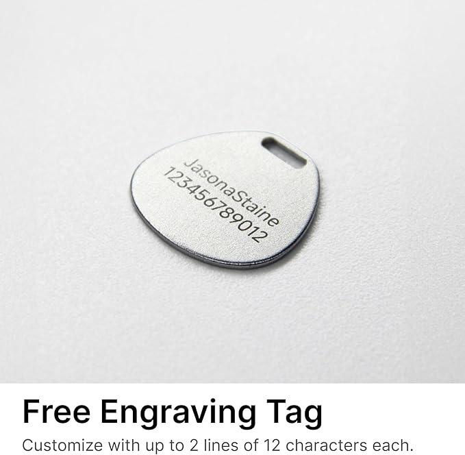 Safety Cat Collar and ID Tag Set, Elastic Quick Release Non Breakaway Collar, Personalized Aluminum Engraved Pet Name Tag, Lightweight for Kitten Small Large Cats (Midnight Black-S, Pocket)