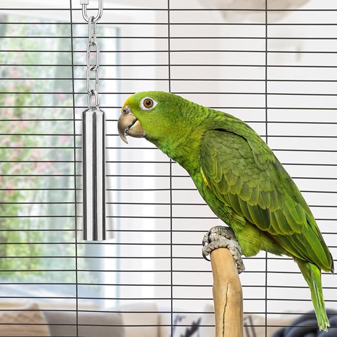 Hypeety Stainless Steel Bell Bird Toys Chew Toy for Parrot, Macaw, African Greys, Small Cockatoo, Parakeet, Cockatiels Heavy Duty Bird Cage Stand Toys (2 PCS-L)