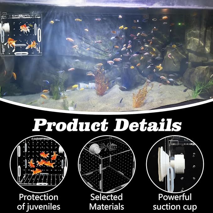 Acrylic Fish breeding Box, Transparent Fish Isolation Box, Fish Separation Box for Aquarium, Hatchery Incubator with Suction for Shrimp Guppy Clownfish Small Fish (3.9 x 3.9 x 3.9Inch)