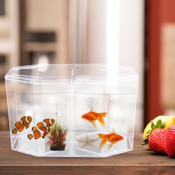 POPETPOP Mini Fish Tank with Divider : Acrylic Fish Breeding Tank Transparent Breeding Box Small Aquarium Box for Small Shrimp