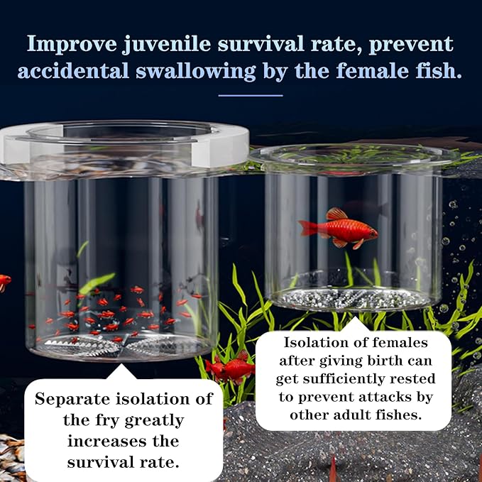 WEAVERBIRD Aquarium Breeder Box, Fish Breeding Box, Acrylic Breeder Isolation Divider Hatching Boxes, Floating Incubation Box, Round Isolation Hatchery Feeding Boxes for Small Fish Fry Hatchery
