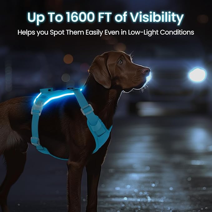 Light Up Dog Harness,Reflective Pet Harness Rechargeable,Led Dog Vest Harness for Night Walking,Adjustable Dog Safety Vest for Small Medium Large Dogs-No Pull,Blue,XL