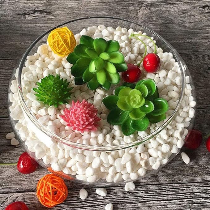 Glass Terrarium Bowl: 9.8" Diameter Round Betta Fish Tank & Hydroponic Planter - 7.87" Wide Mouth Glass Vase for Air Plants, Succulent Centerpiece, Wedding Table Decor