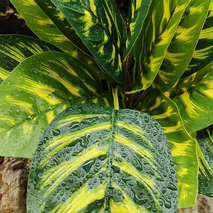 Reptile Terrarium Decor Plants,Amphibian Habitat Decor,Fake Plants for Bearded DragonTank Accessories fit Leopard Gecko Lizard Chameleon Snake Tortoise (Calathea makoyana -C)