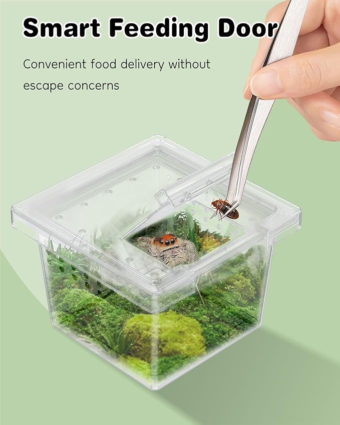 Pawfly 10 Pcs Mini Spider Terrarium Breeding Box, Transparent Plastic Jumping Spider Enclosure Cricket Keeper Tarantula Enclosure, Small Reptile Hatching Container for Scorpion Centipede Gecko Mantis