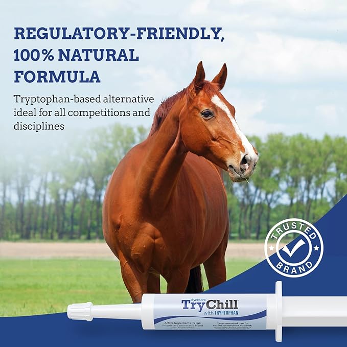 TryChill™ 25 Pack– L-Tryptophan-Based Support for Horses – Promotes a Composed Demeanor Without Sedation – Enhances Focus, Confidence & Performance – 100% Natural & Competition Safe