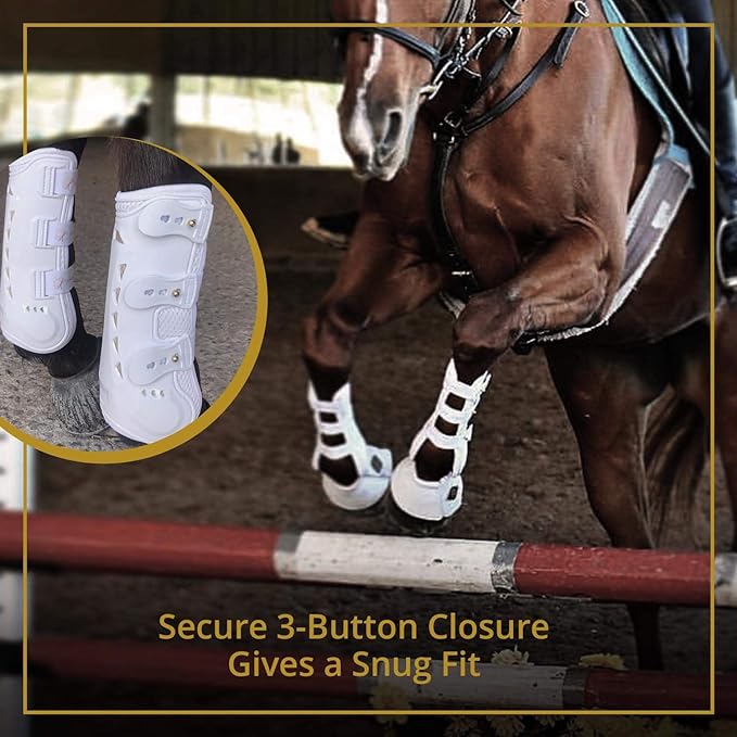 Kavallerie Classic Tendon Boots, Impact-Absorbing Material, Breathable & Evenly Distribute Pressure, Protect Tendon and Ligaments, Anti-Slip, Anti- Sore and Moisture Repellant Show Jumping Boots