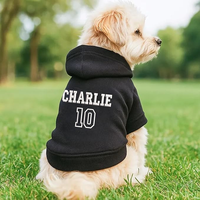 Noni Personalized Name and Number Dog Hoodie, Embroidered Puppy Sweater with Name Text, Custom Pet Clothes Warm Winter Outfit for Dogs, Pet Birthday Outfit, Gift for Dog Lovers