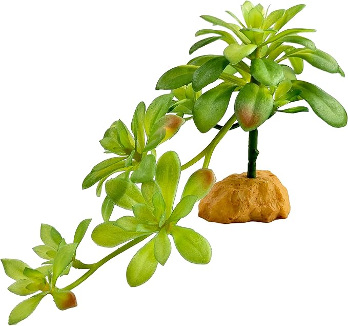 Woyrise Reptile Plants Succulent, Artificial Desert Plant for Terrarium Decor, Bearded Dragon Tank Accessories fit Gecko Lizard Chameleon Ball Python Snake - Sedum Palmeri
