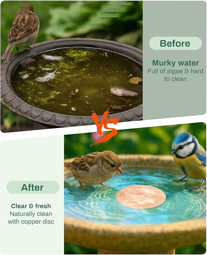 Bird Bath Purification Disk Pure Copper Outside Winter Solar Power Birdbath Hanging Bowl Pedestal Humming Feeder Fountain Cleaner Outside Dispenser Heater Garden Small Large Accessories 4pcs