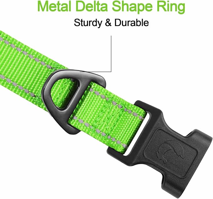 Joytale Reflective Dog Collar, Soft Neoprene Padded, Metal D-Ring, Nylon Pet Collar Adjustable for Medium Dogs, Green, M