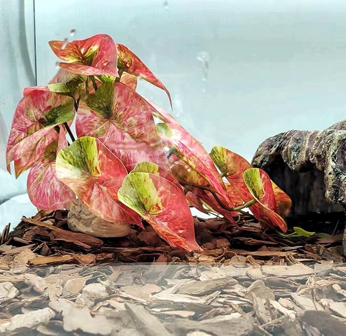 Reptile Plants for Terrarium Decor,Amphibian Habitat Decor, Bearded Dragon Tank Accessories,Artificial Plants for Gecko Chameleon Snake Tortoise with Base (Arrowhead)