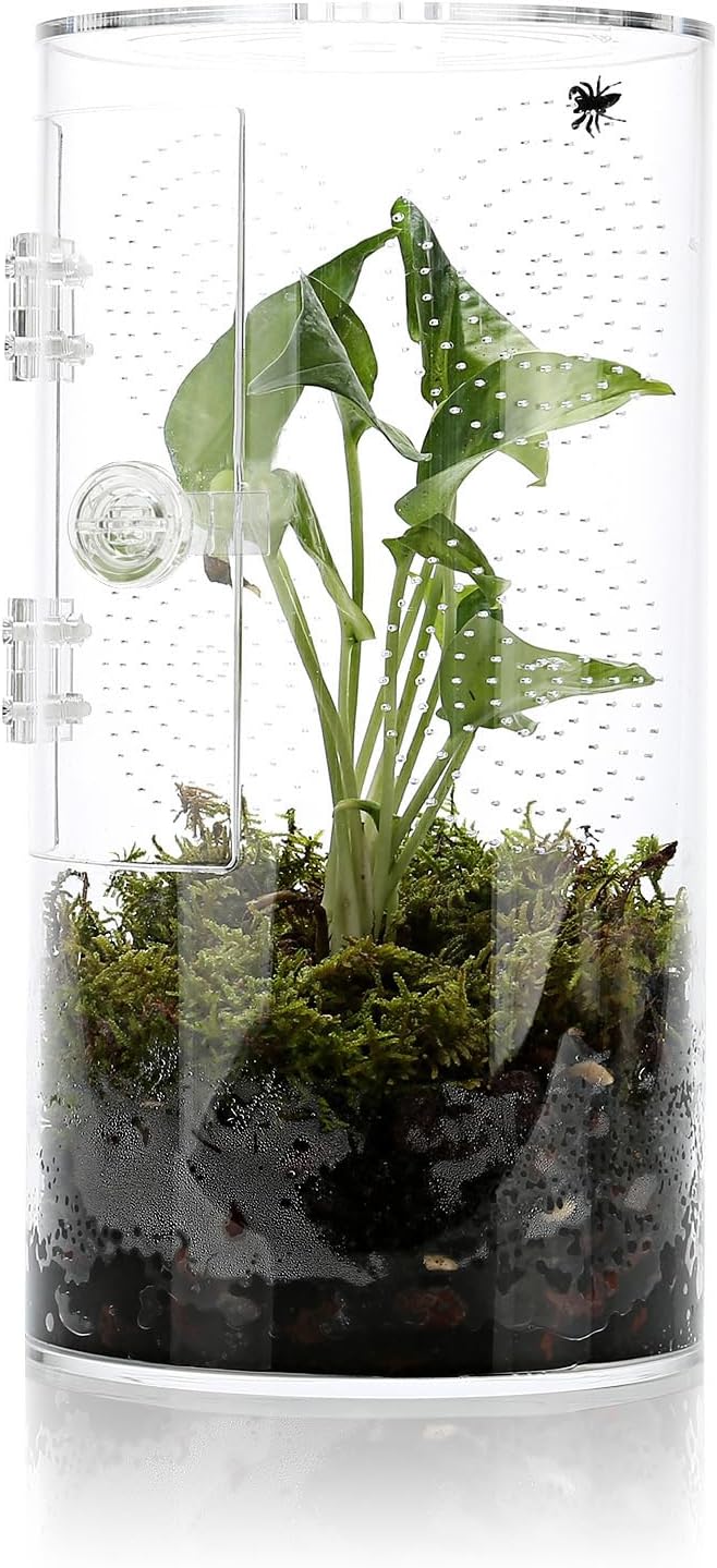 Jumping Spider Enclosure, 11.5”*6”*6”, Air Hole 3/64" Micro Habitat Terrariums, Arboreal Reptile Tank with Front Opening Door,Tarantula Enclosure, Plant Greenhouse