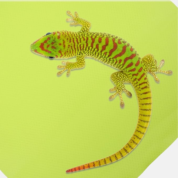 Crawling Blanket Reptile Carpet Reptile Substrate Mat Reptile Supplies Leopard Print Bedding Gecko Bedding Mat Bearded Dragon Accessories Snake Cage Accessories Reptile Cage Carpet