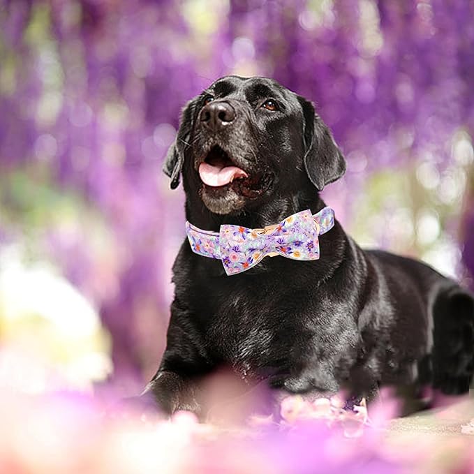 Elegant little tail Dog Collar, Rose Print Pet Collar Summer Dog Collar Durable Metal Buckle Dog Collars Cotton Pet Adjustable Dog Collars for X-Large Dogs