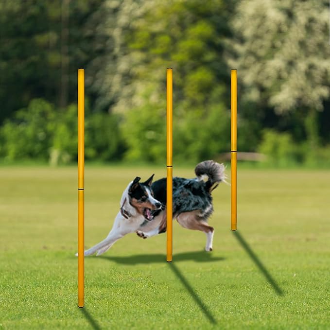 TNZMART 2.6 FT Dog Agility Obstacle Course Backyard Set with Wave Poles, Adjustable Hurdles and Jump Ring, Training Exercise Equipment for Dogs (Pack of 6 Yellow)