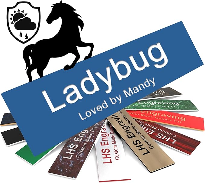 Personalized Horse Stall Name Plates, 2x12 Horse Stall Signs with Adhesive, All Weather UV Protected, Blue Plastic with White Letters - Made in USA - B9