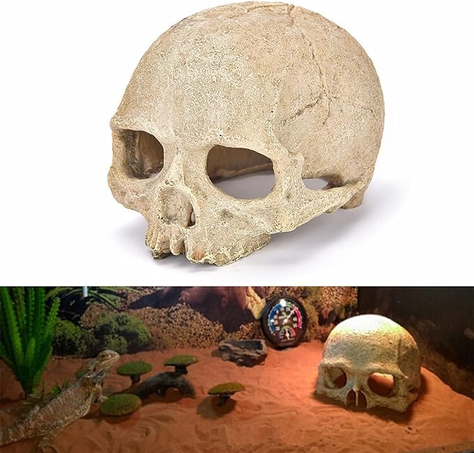 Desert Reptile Skull Fish Tank Decorations - Bearded Dragon Accessories, Snake Tank Decor (Human + Dinosaur)