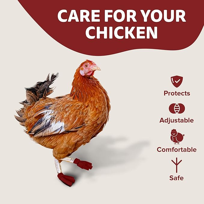 Chicken Shoes for Injured Feet – Protective Neoprene Footwear for Chicken, Open-Toe Design for Bumblefoot Relief, Made in USA - Standard, 3" Max. Inside Width, Red