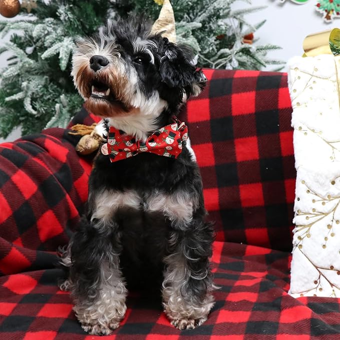 Christmas Dog Collar with Bow Tie, Christmas Collar for Puppy Girl Boy Dog or Cat, Bowtie Dogs Collars with Durable Metal Buckle, Cute Pet Collars, L