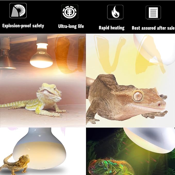Reptile Heat Lamp Used in Reptiles 75W 100W Heat Lamp Bulbs for Reptiles 2 Pack Amphibians Basking Heat Lamp Bulbs UVA Daylight Basking Light (50Watts)