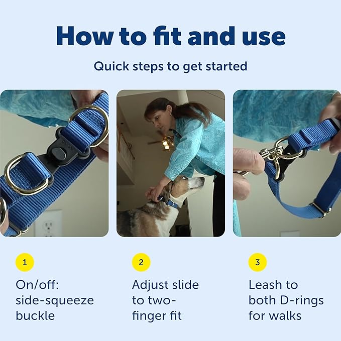PetSafe KeepSafe Break-Away Safety Collar - Protects Dogs from Collar Accidents - Patented Break-Away Buckle - Durable Adjustable Design - Soft Nylon