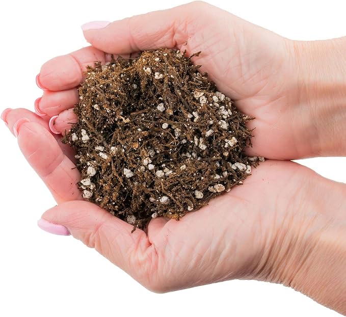 Gardenera Fern + Perlite Soil Mix - 10 Quart - for Repotting and Planting Succulents and Cactuses (2 Bags of 5 Quart)