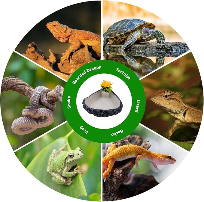 Reptile Corner Food Bowl Water Dish,Snake Feed Dish with Artificial Plant Reptile Water Bowl Terrariums for Bearded Dragon Tortoise Chameleon Hermit Crabs Turtle Leopard Gecko Frog