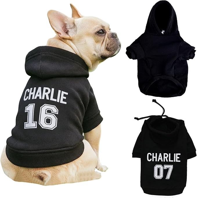 Personalized Name Dog Hoodie, Embroidered Puppy Sweater with Name/Text, Custom Pet Clothes Warm Winter Outfit for Dogs, Bright Puppy Sweatshirt, Pet Birthday Outfit, Gift for Dog Lovers