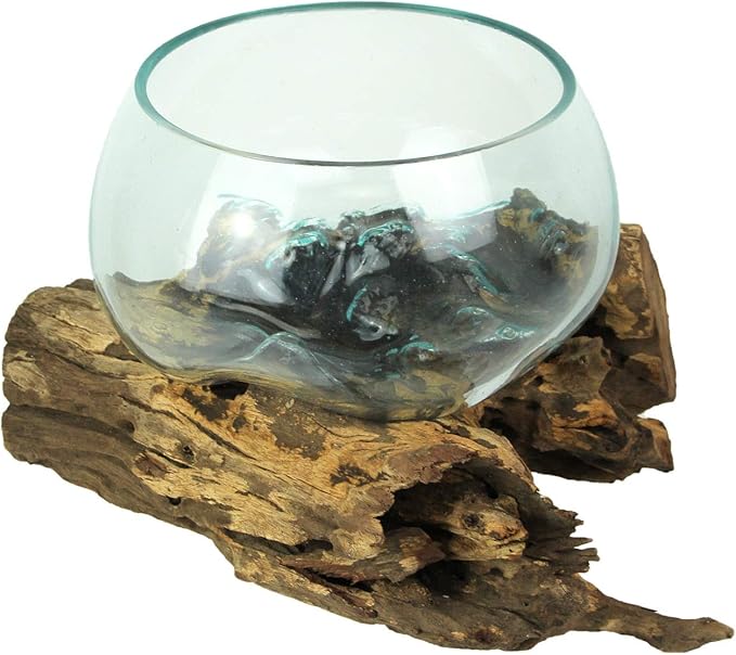 Things2Die4 Blown Melted Glass Decorative Bowl Mini Terrarium On Teak Driftwood Base,Brown