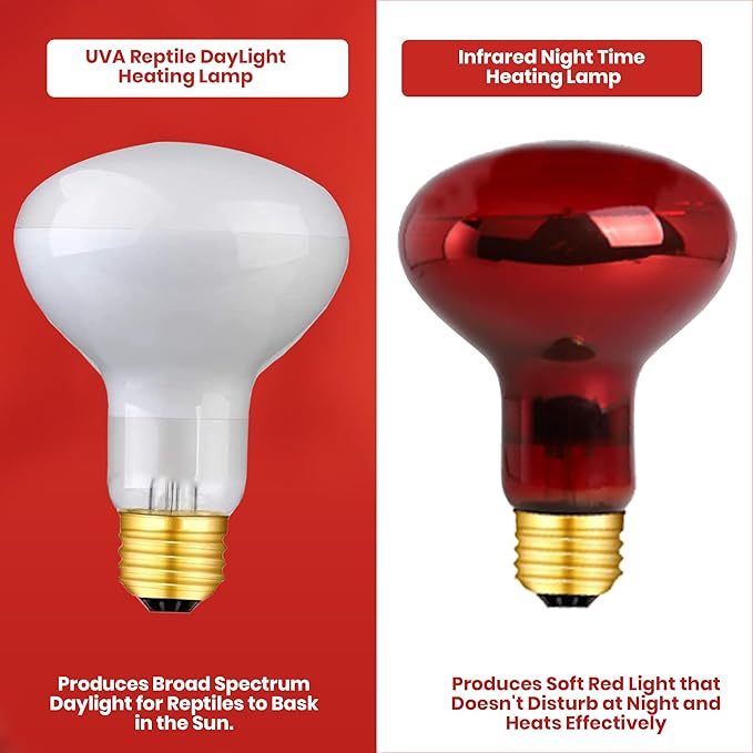 75 Watts UVA Reptile Heat Lamp Bulbs Basking Light for Reptiles and Amphibian, Basking Light for Bearded Dragon, UVA Reptile Light Bulb E26 Base 2 Pack