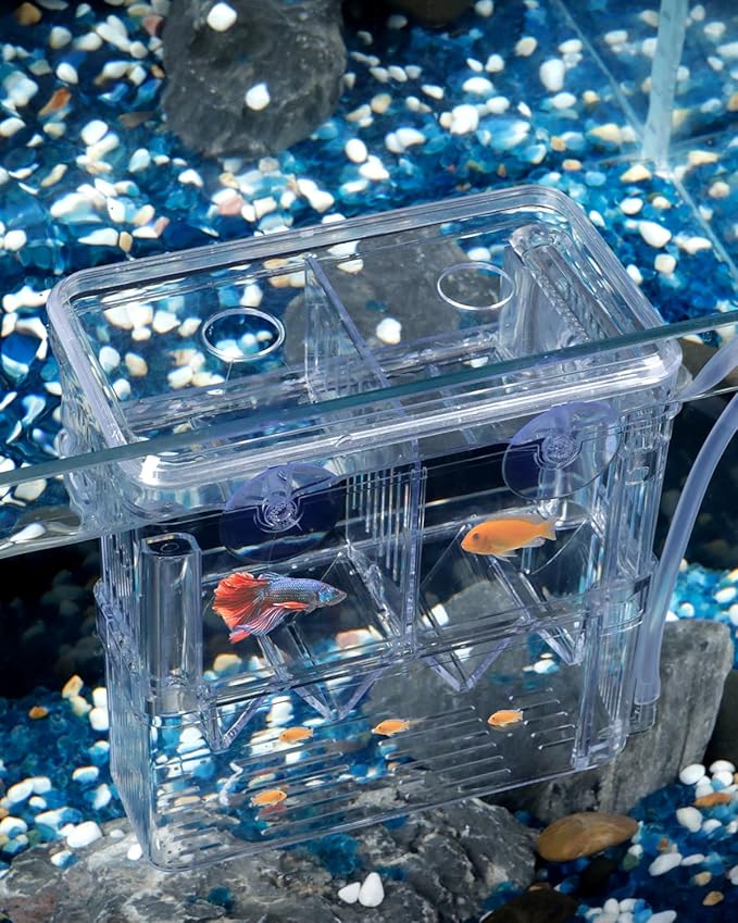 Pawfly Aquarium Breeding Box - Transparent Plastic Fry Hatchery Incubator for Baby Fish, Shrimp, Betta, Clownfish