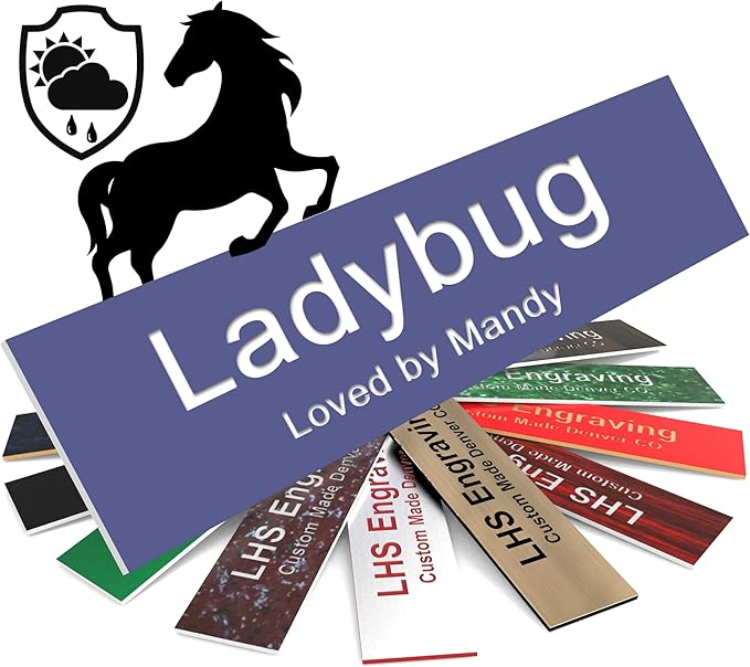 Horse Stall Name Plate, 2x12 Personalized Stall Signs, UV Protected, All Weather Adhesive, Hanging, Mounting or Other, Purple Plastic White Letters - Made in USA - B13