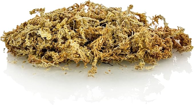 Premium New Zealand Sphagnum Moss by Gardenera - Organic Hand Mixed Long Fibered Sphagnum Moss Orchid - 5 Quart