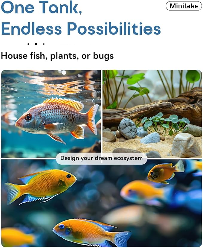 Glass Fish Tank Kit, 0.5 Gallon Betta Fish Tank Aquarium Starter Kit with Filter, Lights, Lid, for Betta, Goldfish, Small Fish or shrimg