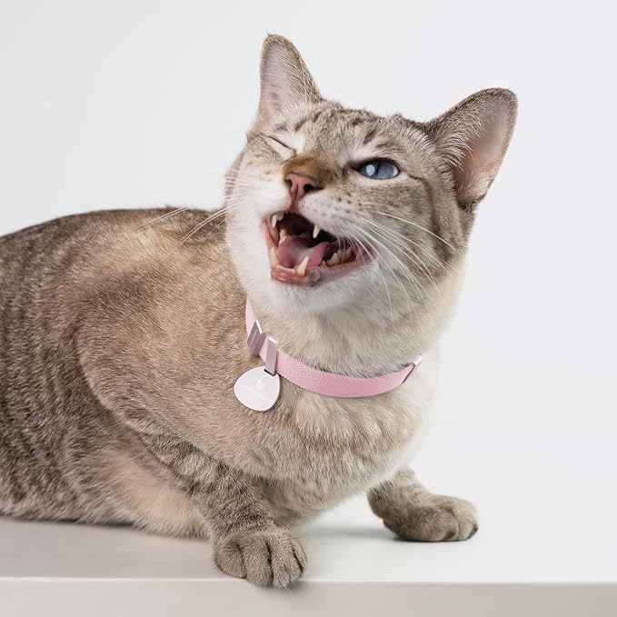 Safety Cat Collar Pro, Lightweight Elastic Release Non Breakaway Cat Collar Adjustable with Snap Fastener for Kitten All Small Large Cats, US IDA Gold Award (Olive, S 5.9-11.8")