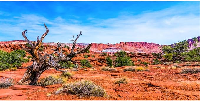 AWERT 36x20 inches Reptile Habitat Background Blue Sky Oasis Orange Desert Terrarium Background