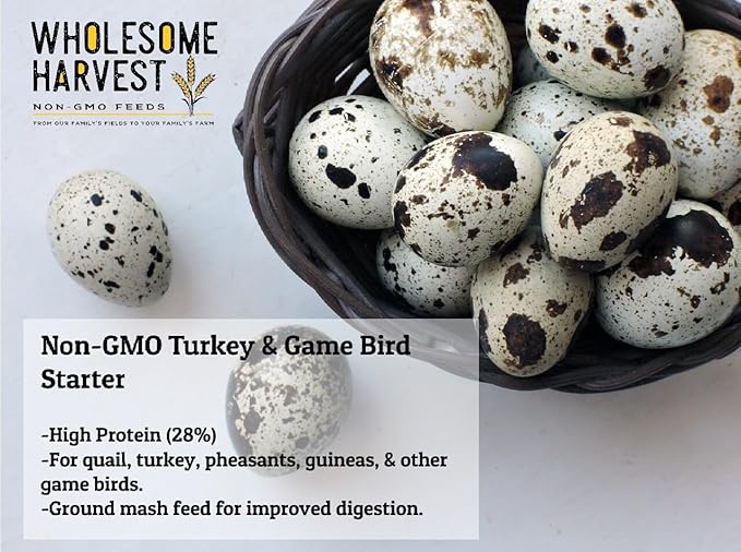 Non-GMO Turkey & Game Bird Starter Feed – 40 lb, 28% Protein, Omega-3, Calcium, Probiotics, Prebiotics & Herbs – Complete Nutrition and Quality Game Bird Feed