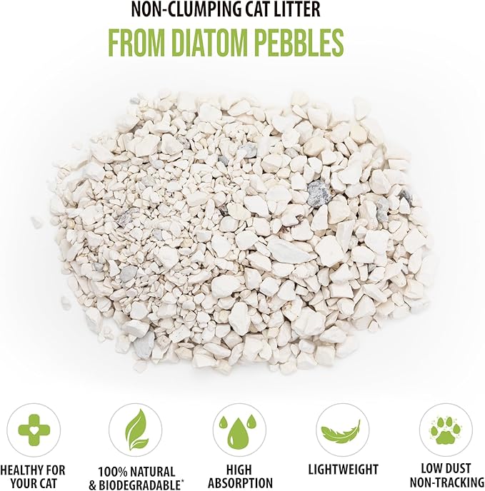 Skoon All Natural Cat Litter (1 Bag) - Original - Lightweight, Low Tracking, Non-Clumping Diatom Pebbles Absorb, Lock, and Seal Waste for Best Odor Control