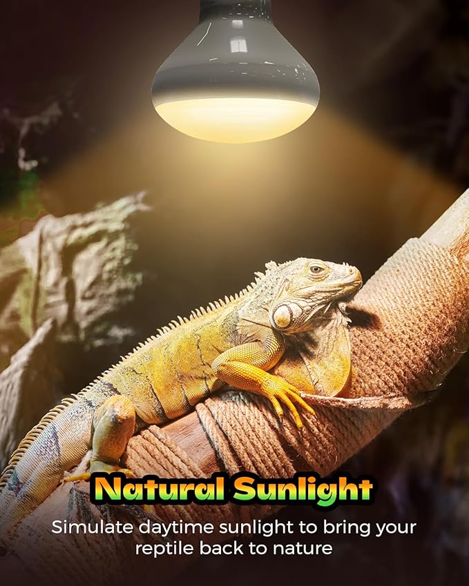 Reptile Heat Lamp, 2 Pack 100W Daylight Basking Light Bulb & Infrared Heat Lamp, Amphibians Basking Heat Lamp Bulbs, UVA Daylight Light for Reptiles, Bearded Dragon, Lizard